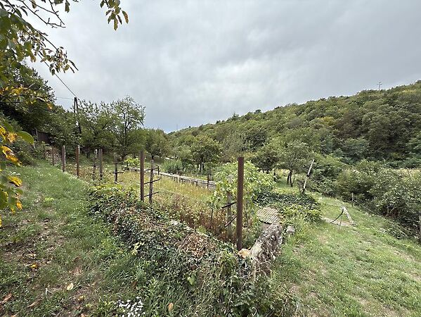 Eladó földterület Szentendre