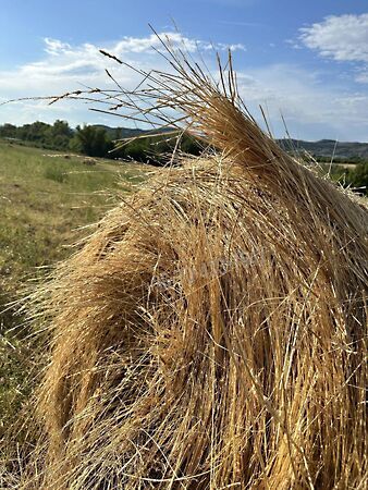 Eladó földterület Törökbálint