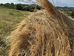 Eladó földterület Törökbálint