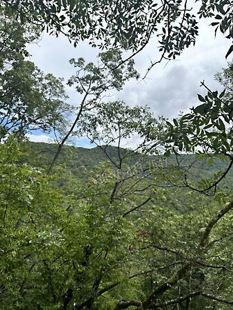 Eladó földterület Törökbálint