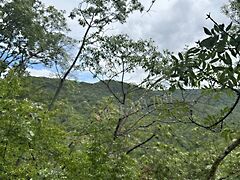 Eladó földterület Törökbálint