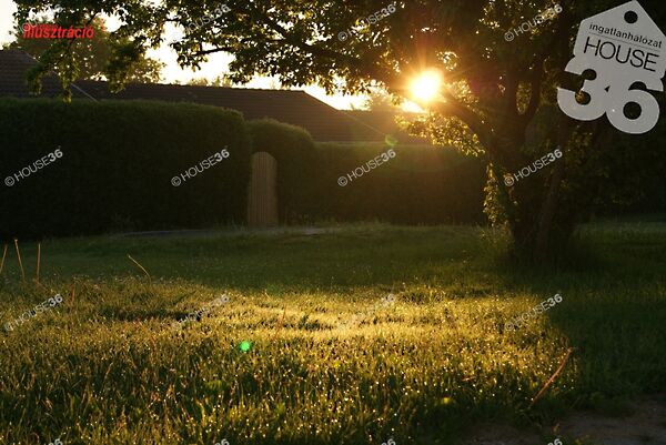 Eladó földterület Kiskunfélegyháza