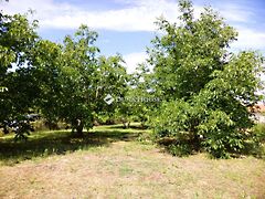 Eladó földterület Székesfehérvár