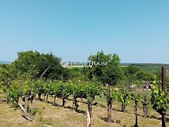 Eladó nyaraló Etyek