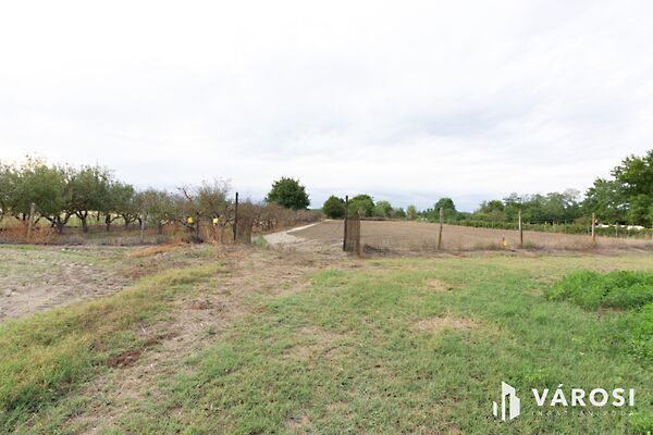 Eladó földterület Domaszék