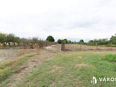 Eladó földterület Domaszék