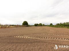 Eladó földterület Domaszék
