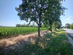 Eladó ipari Balatonszárszó