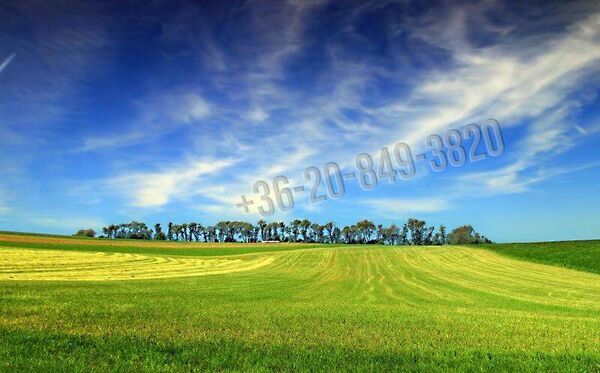 Eladó földterület Vác