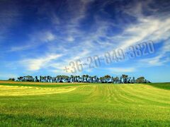 Eladó földterület Vác