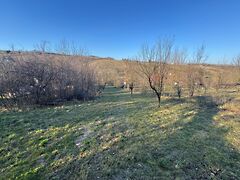 Eladó földterület Zalaszentgrót