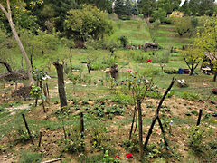 Eladó ház Kaposvár