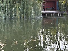 Eladó nyaraló Gyomaendrőd, Bónom-zug