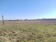 Eladó földterület Alsónémedi