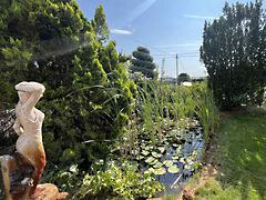 Eladó ház Kecskemét