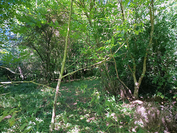 Eladó földterület Padár