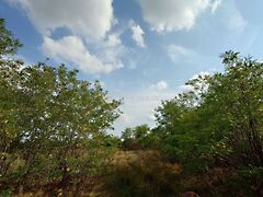 Eladó földterület Kecskemét