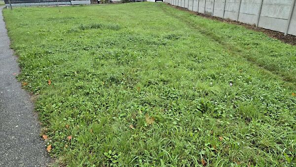 Eladó földterület Nagycenk