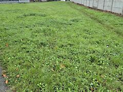 Eladó földterület Nagycenk