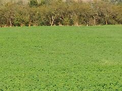 Eladó földterület Fehérvárcsurgó