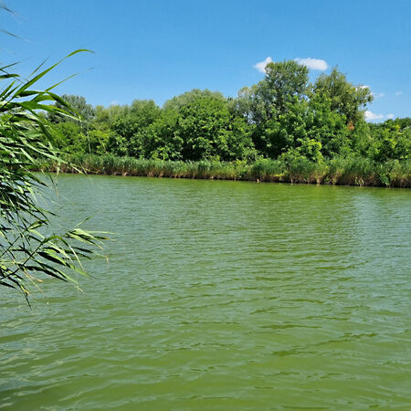 Eladó nyaraló Gyomaendrőd