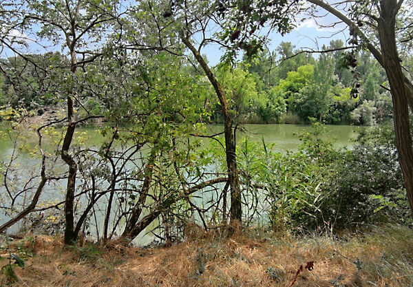 Eladó földterület Öcsöd