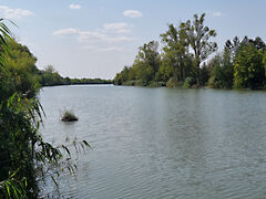 Eladó földterület Békésszentandrás