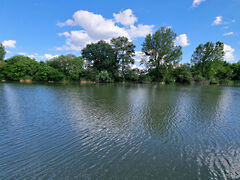 Eladó földterület Békésszentandrás