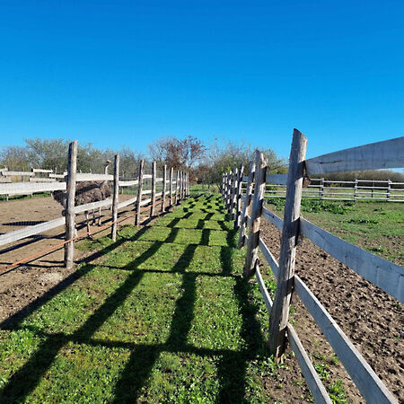 Eladó földterület Mezőtúr