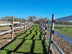 Eladó földterület Mezőtúr