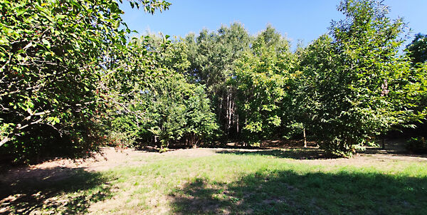 Eladó földterület Bazsi