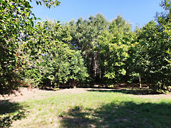 Eladó földterület Bazsi