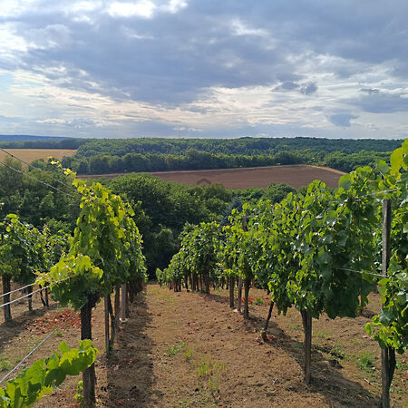 Eladó nyaraló Nagykanizsa