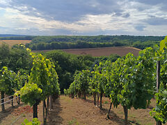 Eladó nyaraló Nagykanizsa