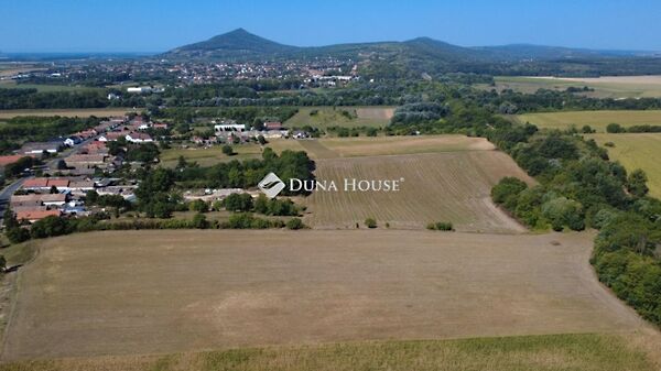 Eladó földterület Villány