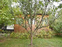 Eladó földterület Budakeszi