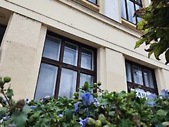 Eladó ház Bátaszék