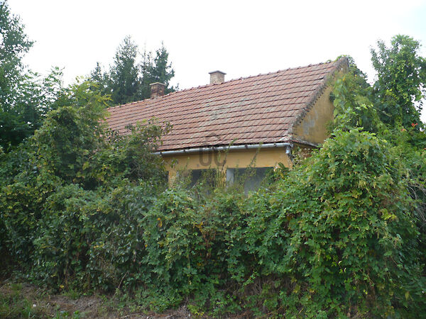 Eladó ház Bagamér