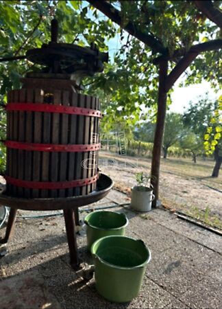 Eladó földterület Kőröshegy