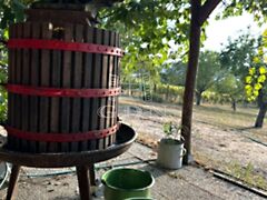 Eladó földterület Kőröshegy