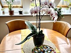 Eladó lakás Budapest, VIII. kerület