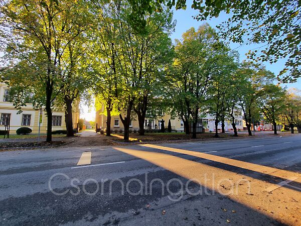 Eladó lakás Kapuvár