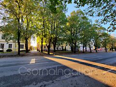 Eladó lakás Kapuvár