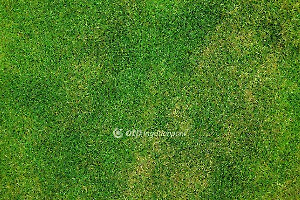 Eladó földterület Keszthely