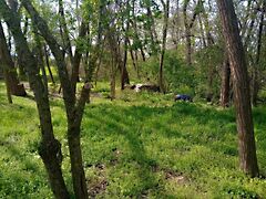 Eladó földterület Békésszentandrás