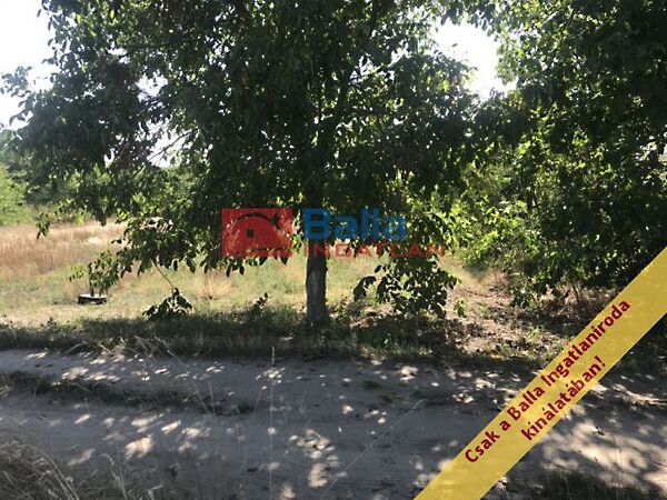 Eladó földterület Gyömrő