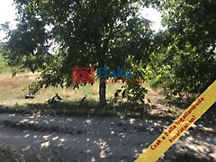 Eladó földterület Gyömrő