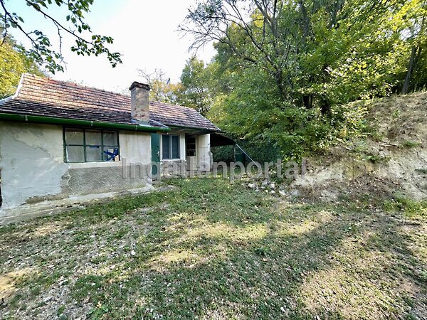 Eladó ház Tahitótfalu, Tahi