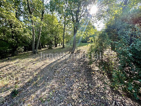 Eladó nyaraló Tahitótfalu