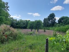 Eladó földterület Helvécia